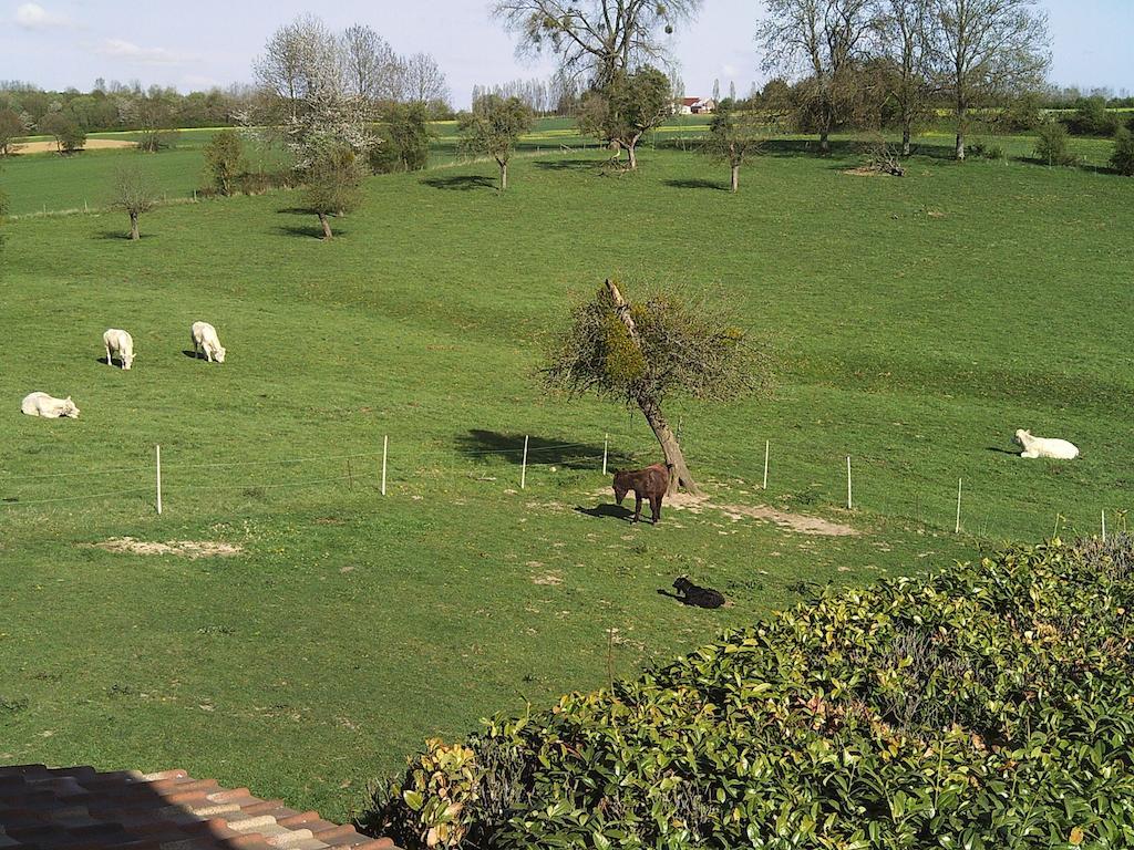 La Bergerie Du Festel Saint-Riquier Buitenkant foto